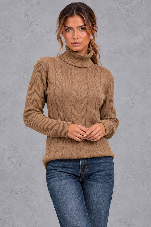 Women's cable knit roll neck jumper in Brown – front view