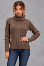 Women's cable knit roll neck jumper in Dark Brown – front view