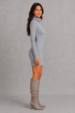 Women’s ribbed roll neck mini dress with a fitted silhouette, vertical rib-knit texture and long sleeves for elegant autumn and winter styling.
