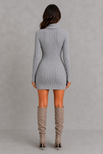Women’s ribbed roll neck mini dress with a fitted silhouette, vertical rib-knit texture and long sleeves for elegant autumn and winter styling.