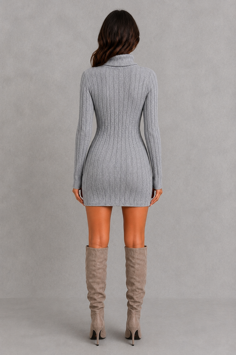 Women’s ribbed roll neck mini dress with a fitted silhouette, vertical rib-knit texture and long sleeves for elegant autumn and winter styling.
