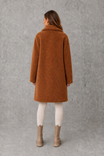 Women’s Teddy Coat  with soft plush texture, elegant collar and single-breasted design, ideal for stylish autumn and winter layering.