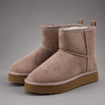 Women's faux suede platform ankle boots with a soft faux fur lining, 2-inch lightweight EVA platform sole, slip-on design with rear pull tab, and non-slip outsole, offering warm and stylish comfort for autumn and winter wear.
