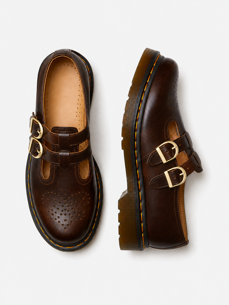 Pair of brown leather shoes with gold buckles on a white background
